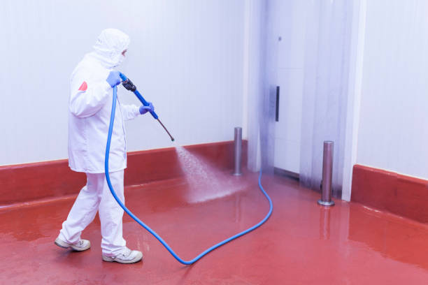 Best Restaurant Pressure Washing  in Ivanhoe, TX