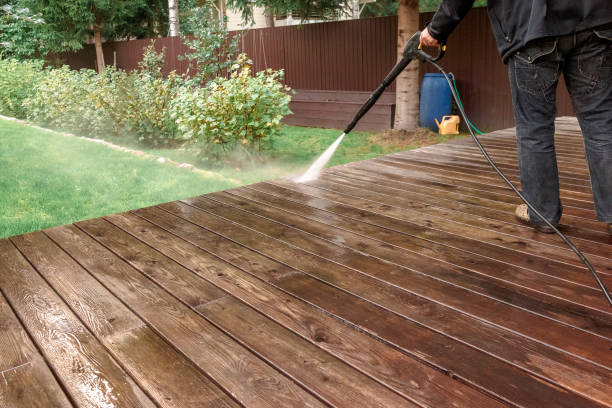 Best Residential Exterior Washing  in Ivanhoe, TX