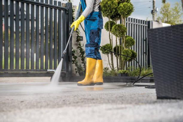 Best Roof Washing  in Ivanhoe, TX